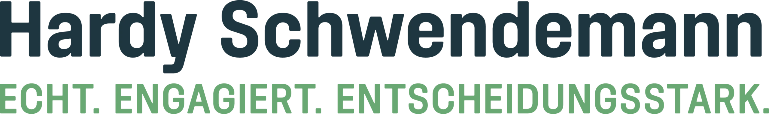 Logo Hardy Schwendemann Bürgermeisterkandidat für Steinach und Welschensteinach